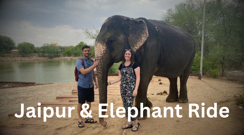 Visiting Jaipur and Take Elephant Ride in Jaipur