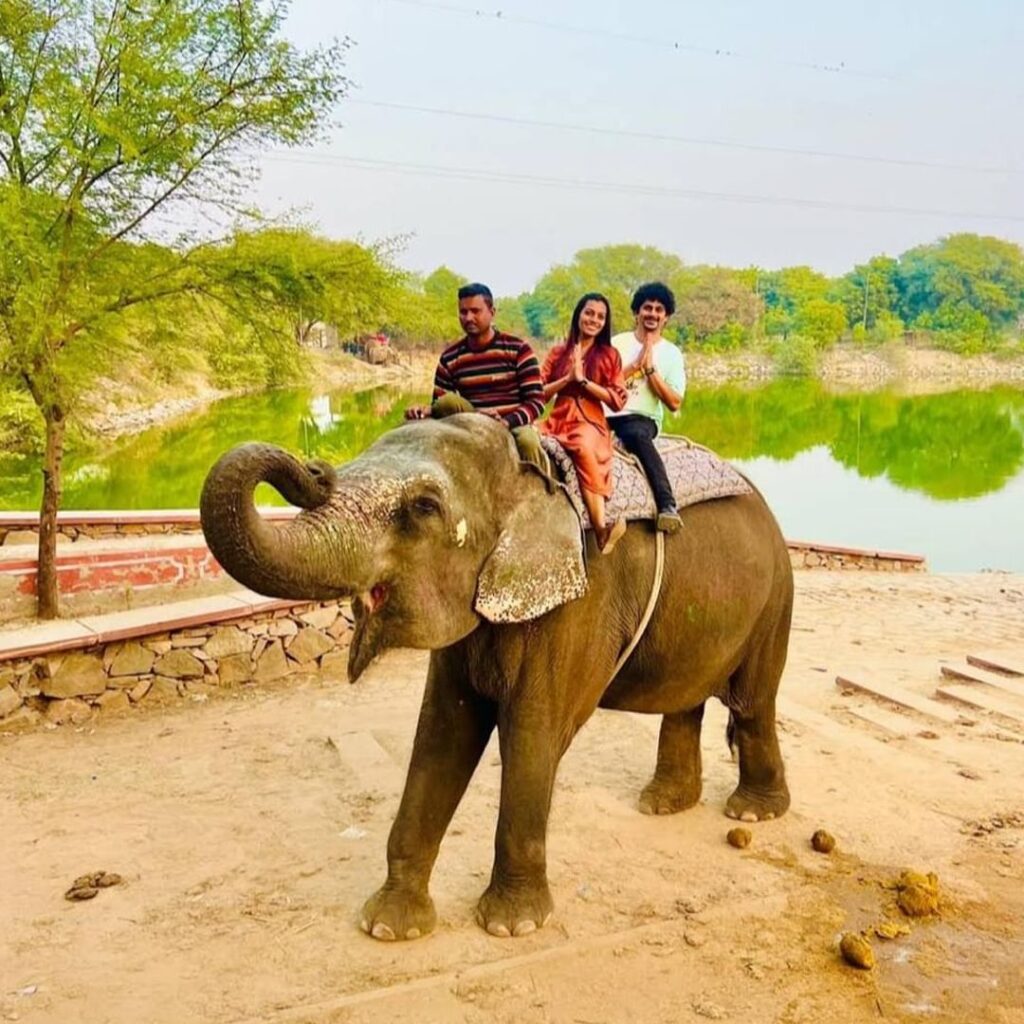 Elephant ride in jaipur