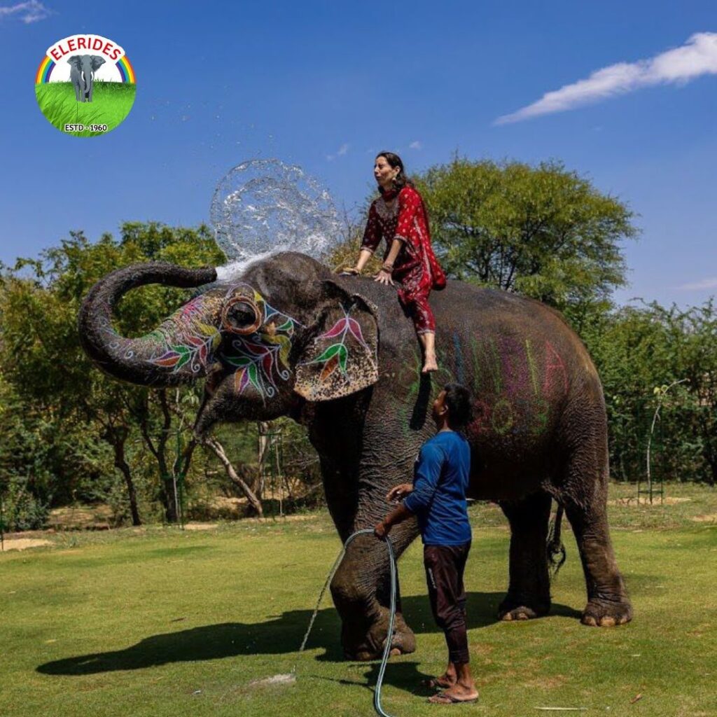 Elephant ride at Elerides Elephant Sanctuary