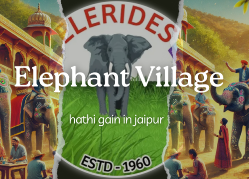 Elephant Village Jaipur: A Unique Elephant Sanctuary Experience